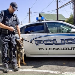 Ellensburg Police Department - Ellensburg's only K-9 and his handler.