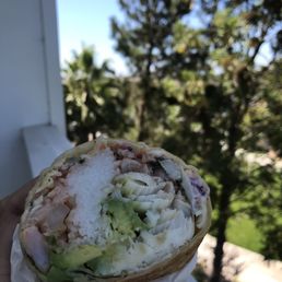 Fish and Shrimp Burrito