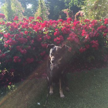 Petcare Veterinary Services - Bella at Elizabeth Park - Veterinarians Near Me - West Hartford, Connecticut