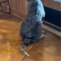 Dozer the Vineyard Puppy! Dozer the Vineyard Puppy!