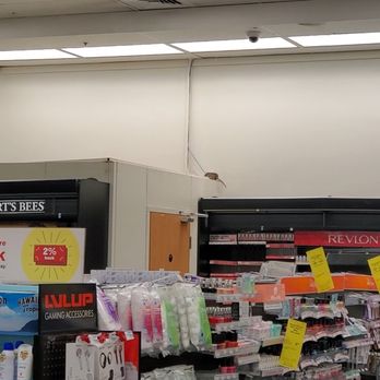 CVS Pharmacy - Large Rat - Drugstores Near Me - Greenacres, Florida