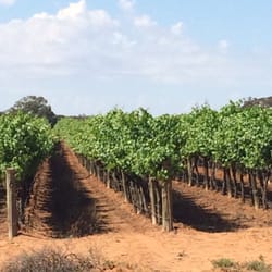 Banrock Station Wine & Wetland Centre - WINE!!!