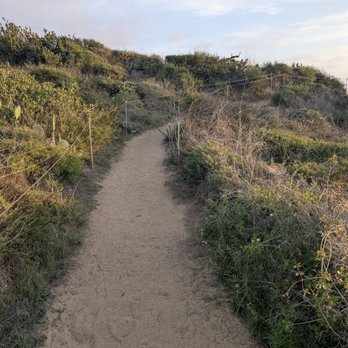 Torrey Pines State Reserve - Easy trails for most walkability - Parks Near Me - La Jolla, California
