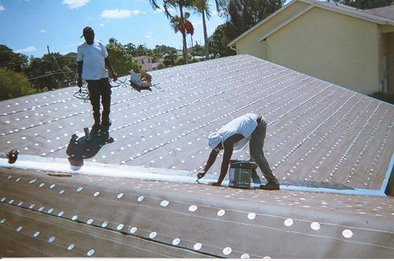 Slide of Darcy Jackson Roofing & Waterproofing