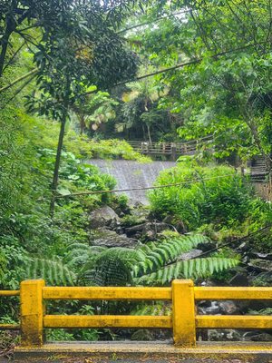 El Yunque National Forest by null
