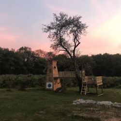 Kidstopia Blueberry Farm