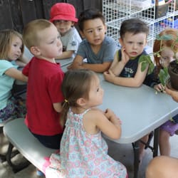 The Sandbox Daycare - Doing an experiment on how beans grow.
