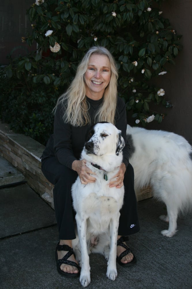 Contented K9 - pet boarding facility in Encinitas, CA