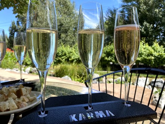 Karma Vineyards by null