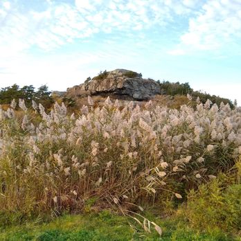 Paradise Farmhouse - On the walk to the beach - Vacation Rentals Near Me - Middletown, Rhode Island