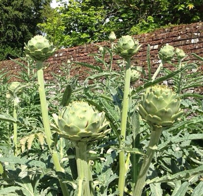 Rathmullan House Hotel by null