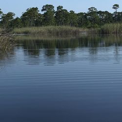 Grayton Beach State Park - Western Lake - Serenity?