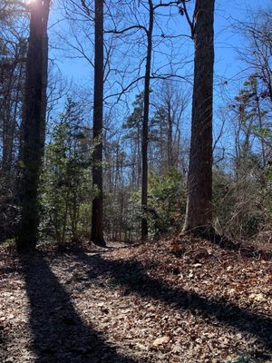 Cold Harbor Battlefield Visitor Center by null