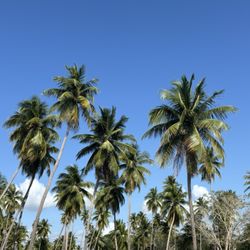 Balneario de Boquerón