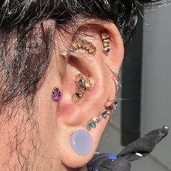 Velvet Elvis Piercing - New tragus and a 4 week old forward helix. The rest of the piercings are 2+ years old.