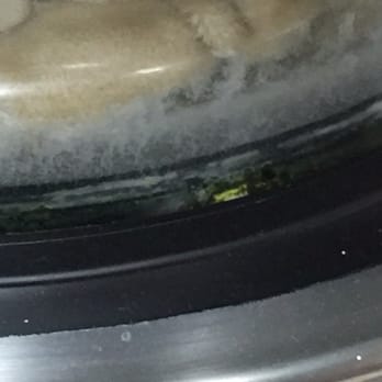 Spring Center Laundromat - Another machine with green gunk in the front of the door. I wonder how often they do maintenance or even clean the machines. - Laundromat Near Me - Silver Spring, Maryland