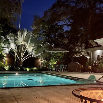 Action Sod & Landscape Gardens - Bismarck Palm - Nurseries & Gardening Near Me - Miami, Florida Action Sod & Landscape Gardens - Bismarck Palm - Nurseries & Gardening Near Me - Miami, Florida