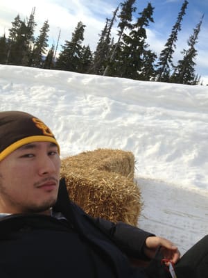 Mount Washington Alpine Resort by null