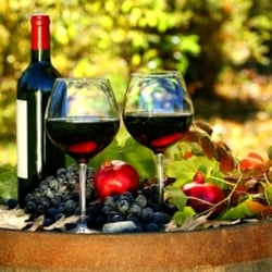 Telavino Wein Company