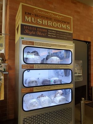 Central Market by null