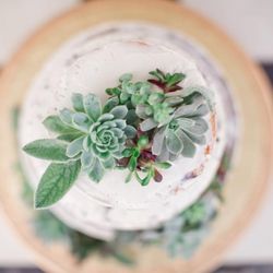 Wildflour Cakes & Pastries