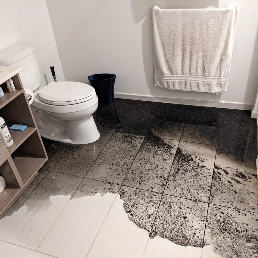 Bathroom at the Verve covered in sewage on a Sunday evening
