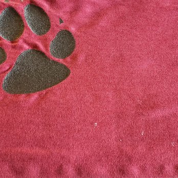 Great Wolf Lodge - Dirty coverlet - Resorts Near Me - LaGrange, Georgia Great Wolf Lodge - Dirty coverlet - Resorts Near Me - LaGrange, Georgia