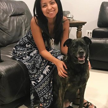 Fuzzy Paws Pet Sitters - Roxy - Dog Walkers Near Me Fuzzy Paws Pet Sitters - Roxy - Dog Walkers Near Me