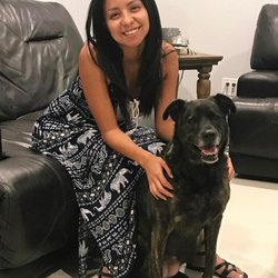 Fuzzy Paws Pet Sitters - Roxy