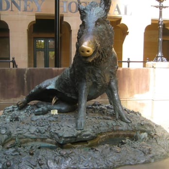 I'm Free Tours Sydney - You're supposed to rub his nose for luck...not everyone got the memo I guess. - Walking Tours Near Me - Sydney, NSW