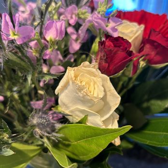 BloomsyBox - Florists Near Me - Miami, Florida BloomsyBox - Florists Near Me - Miami, Florida