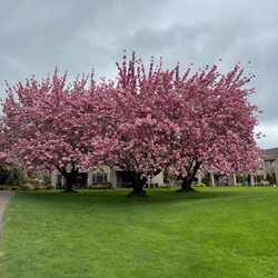Fairway Village Golf Course