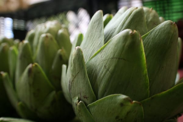 Santa Teresa Farmers' Market by null