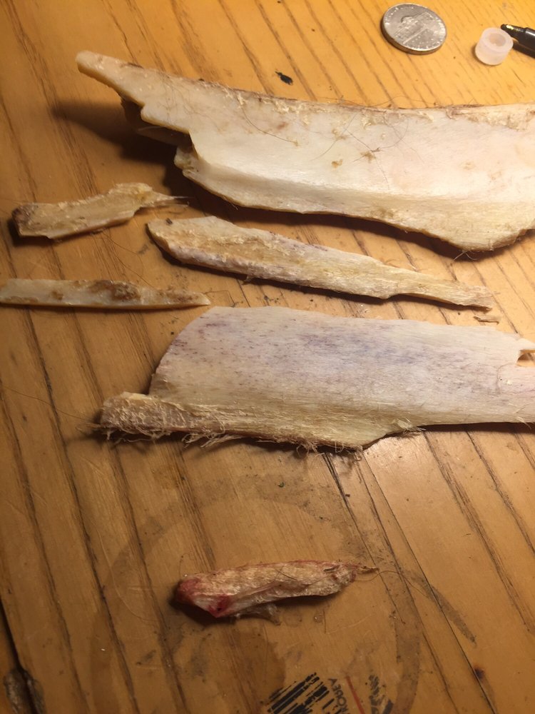 WESTMINSTER PET PRODUCTS Updated April 2024 Pawtucket, Rhode Island