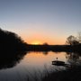 Photo of raincliffe woods