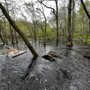 Photo of Carolina Heritage Outfitters