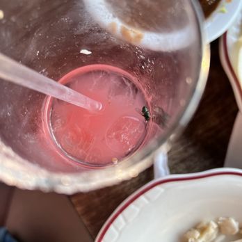Little Donkey - Homewood - Fly in my margarita - Mexican Near Me - Birmingham, Alabama Little Donkey - Homewood - Fly in my margarita - Mexican Near Me - Birmingham, Alabama