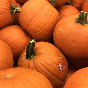 Albertsons - Pumpkins - Grocery Near Me - Phoenix, Arizona Albertsons - Pumpkins - Grocery Near Me - Phoenix, Arizona