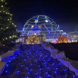 Igloo Wonderland