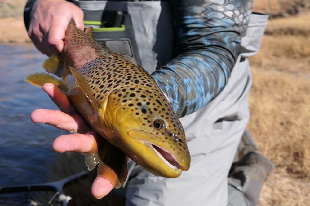 QUIET FLY FISHER GUIDE SERVICE & FLY SHOP 25 Photos 17 E 200th N