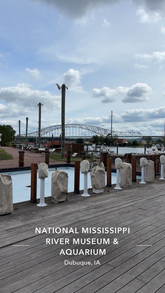 Social spots from National Mississippi River Museum & Aquarium