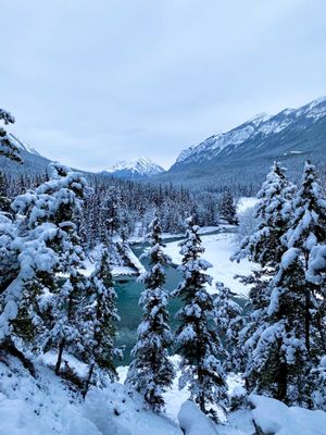 Banff National Park by null