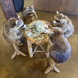 Raccoon Poker Raccoon Poker