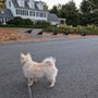 Photo of Broadview Animal Hospital of Dover