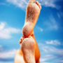 Photo of Pensacola Podiatry