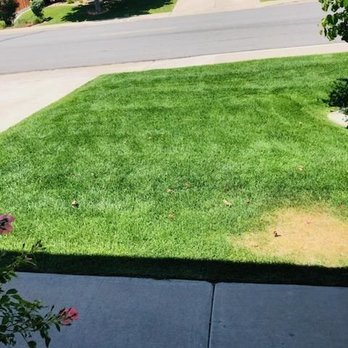 Monjas Landscaping - Front lawn - Landscaping Near Me - Reno, Nevada