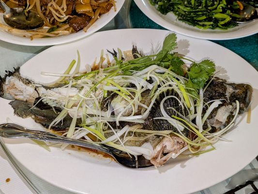 T & T Seafood Restaurant by null