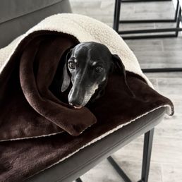 Minnie