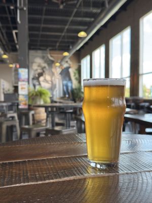 Forgotten Star Brewing Co. by null