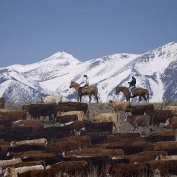 Music Meadows Ranch - Horseback Riding Near Me - Westcliffe, Colorado Music Meadows Ranch - Horseback Riding Near Me - Westcliffe, Colorado